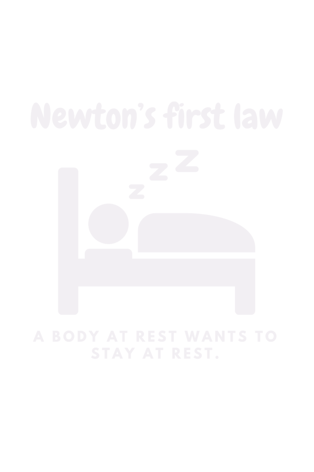 Newton's Law of Rest